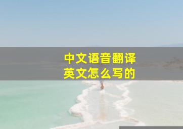 中文语音翻译英文怎么写的