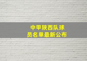 中甲陕西队球员名单最新公布