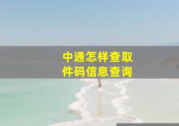 中通怎样查取件码信息查询