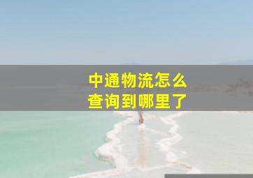 中通物流怎么查询到哪里了