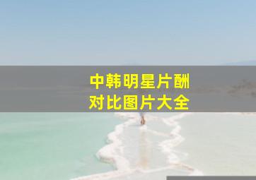 中韩明星片酬对比图片大全