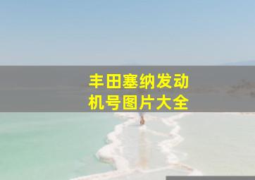 丰田塞纳发动机号图片大全