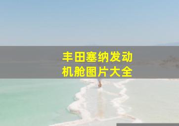 丰田塞纳发动机舱图片大全