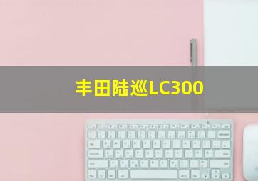 丰田陆巡LC300