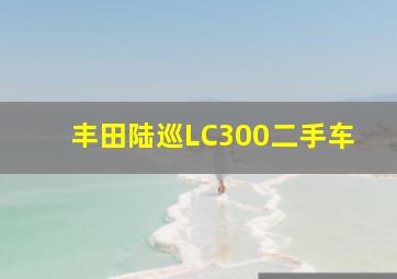 丰田陆巡LC300二手车