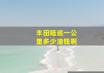 丰田陆巡一公里多少油钱啊