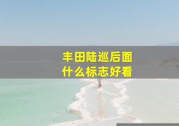 丰田陆巡后面什么标志好看