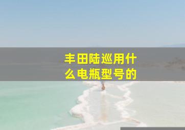 丰田陆巡用什么电瓶型号的