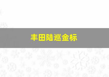 丰田陆巡金标