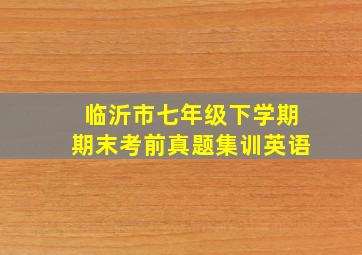 临沂市七年级下学期期末考前真题集训英语