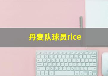 丹麦队球员rice