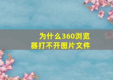 为什么360浏览器打不开图片文件