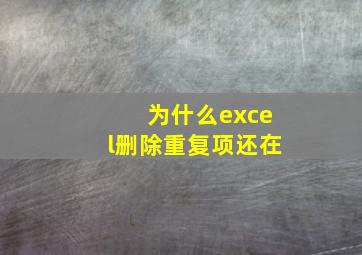 为什么excel删除重复项还在