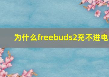 为什么freebuds2充不进电