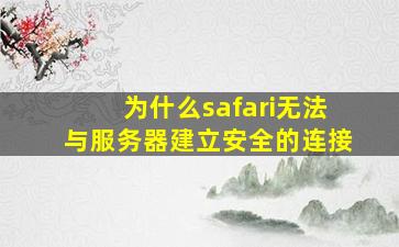 为什么safari无法与服务器建立安全的连接