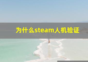 为什么steam人机验证