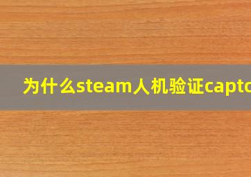 为什么steam人机验证captcha