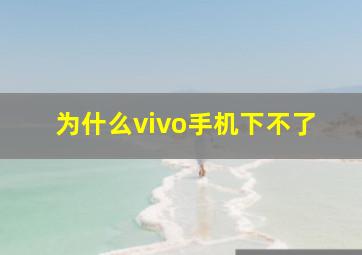 为什么vivo手机下不了