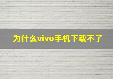 为什么vivo手机下载不了