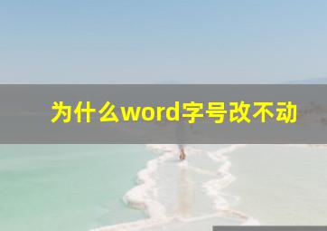 为什么word字号改不动