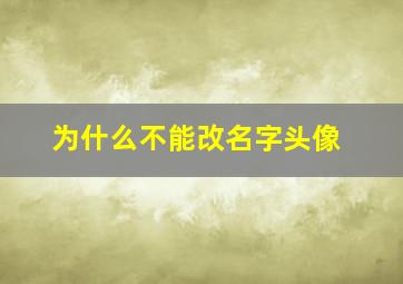 为什么不能改名字头像