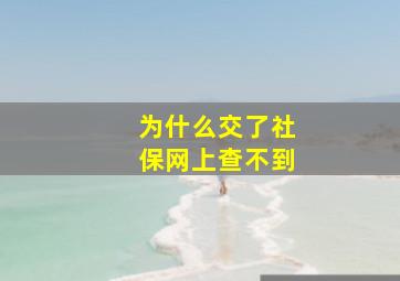 为什么交了社保网上查不到