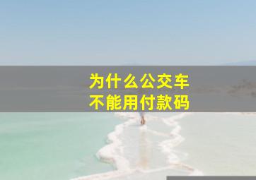 为什么公交车不能用付款码