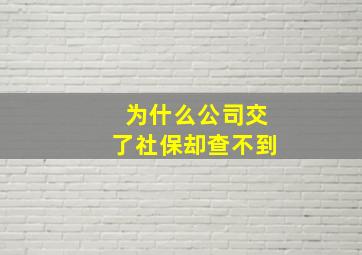 为什么公司交了社保却查不到