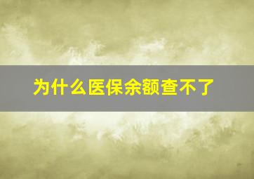 为什么医保余额查不了