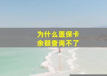 为什么医保卡余额查询不了