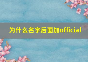 为什么名字后面加official