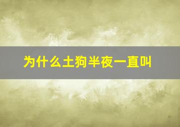 为什么土狗半夜一直叫