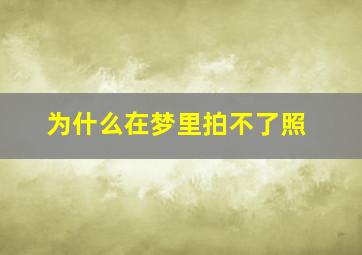 为什么在梦里拍不了照