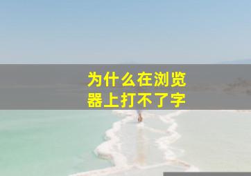 为什么在浏览器上打不了字