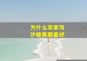 为什么宋家沟沙棘黄酮最好