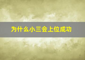 为什么小三会上位成功