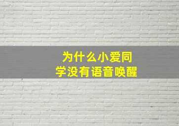 为什么小爱同学没有语音唤醒