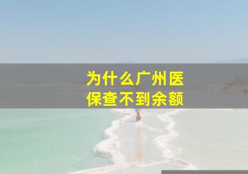 为什么广州医保查不到余额