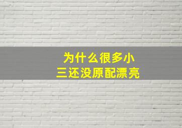 为什么很多小三还没原配漂亮