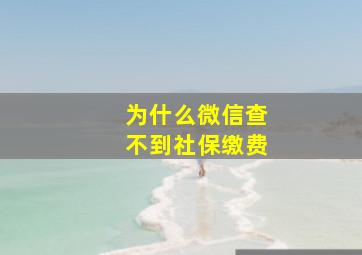 为什么微信查不到社保缴费