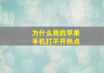 为什么我的苹果手机打不开热点