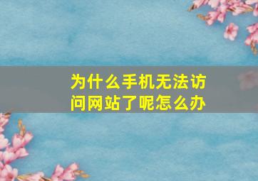 为什么手机无法访问网站了呢怎么办