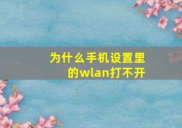 为什么手机设置里的wlan打不开