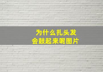 为什么扎头发会鼓起来呢图片