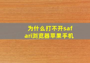 为什么打不开safari浏览器苹果手机