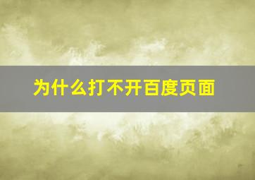 为什么打不开百度页面