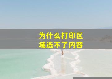 为什么打印区域选不了内容