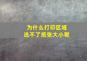 为什么打印区域选不了纸张大小呢