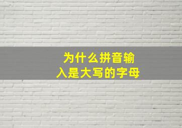 为什么拼音输入是大写的字母