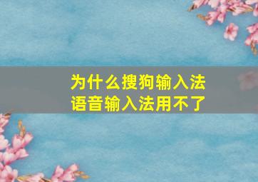 为什么搜狗输入法语音输入法用不了